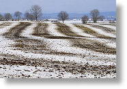 Lignes de terre [311 Ko]