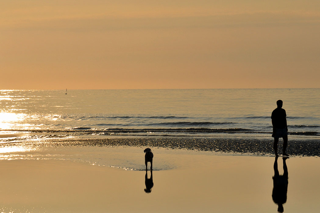 Christiane Bar - Mare basse 1