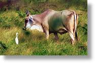 Rencontre [103 Ko]