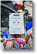 Ne pleure pas [313 Ko]