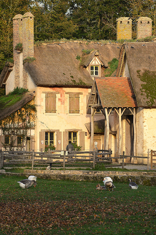 Annie-Claude Bruneval - La ferme