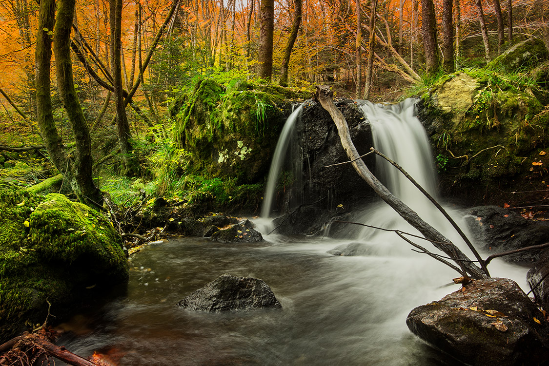 Franck Budynek - Falls