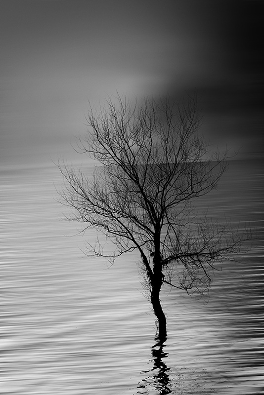 Franck Budynek - The Remains of the Day