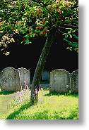 Graveyard [71 Ko]