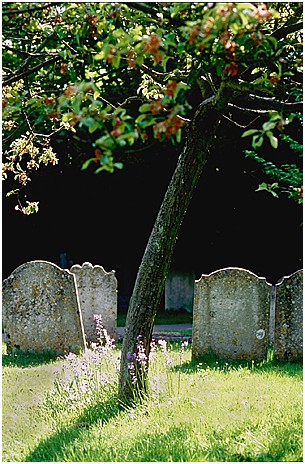 Jean-Jacques Dejeunes - Graveyard