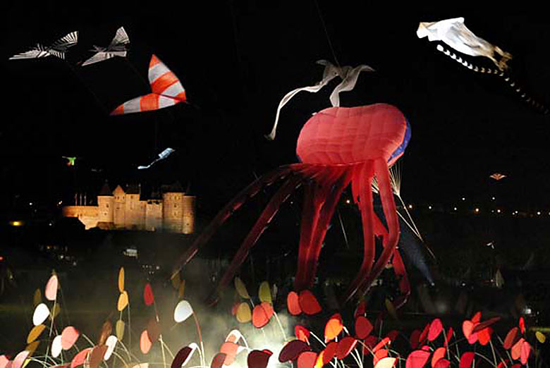 Bernard Douin - cerf-volants 4