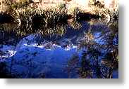 Miroir aquatique [117 Ko]