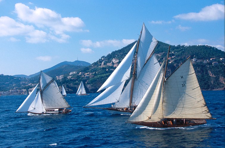 Donald Lefaux - Voiles Saint Tropez