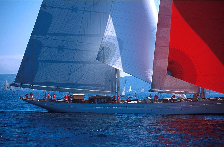Donald Lefaux - Voiles Saint Tropez