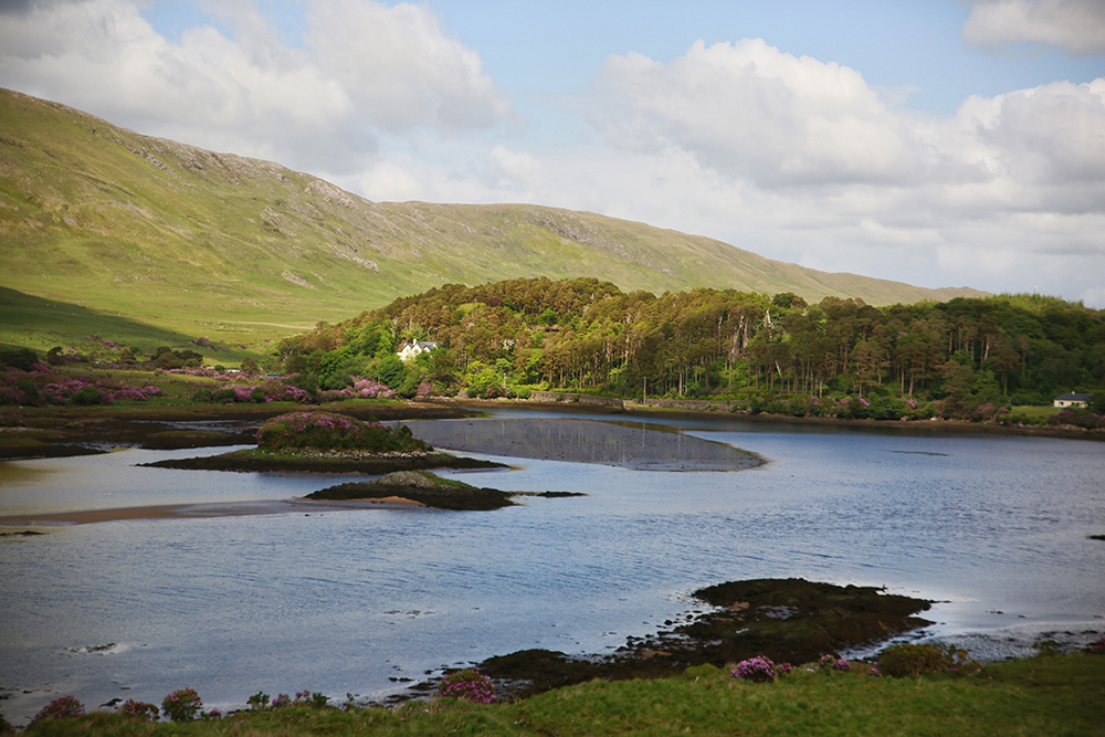 Donald Lefaux - Connemara 4