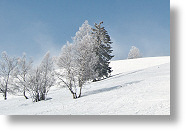 Givre [196 Ko]