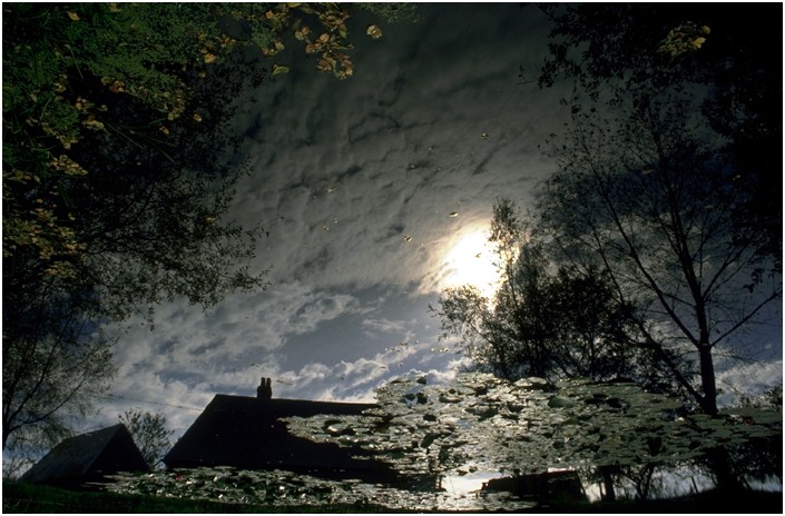 Patrick Lesueur - Reflet