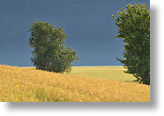 Avant l'orage [134 Ko]