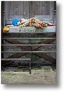 Clown triste [226 Ko]