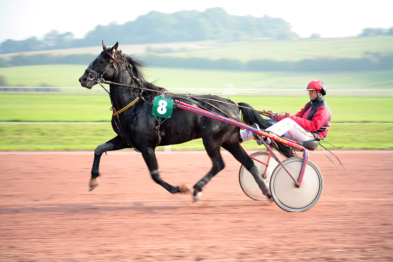 Courses hippiques - Sbastien Mounier