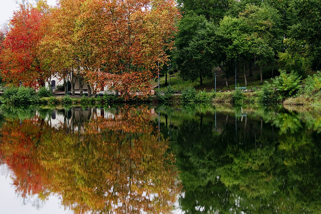 Automne  Dax - Robert Schwartz