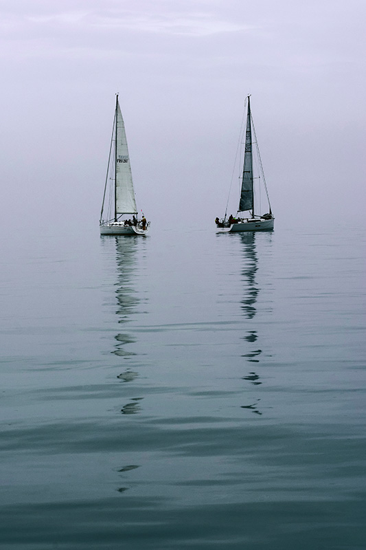 Ambiance marine - Patrick Lesueur