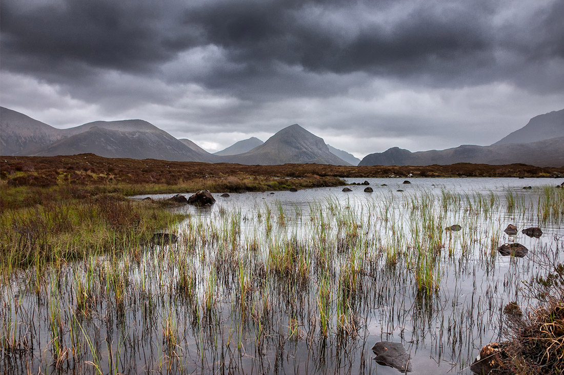 Skye - Nadine Borey
