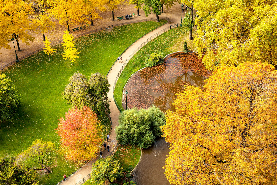 Parure d'automne - Patrice Cadot