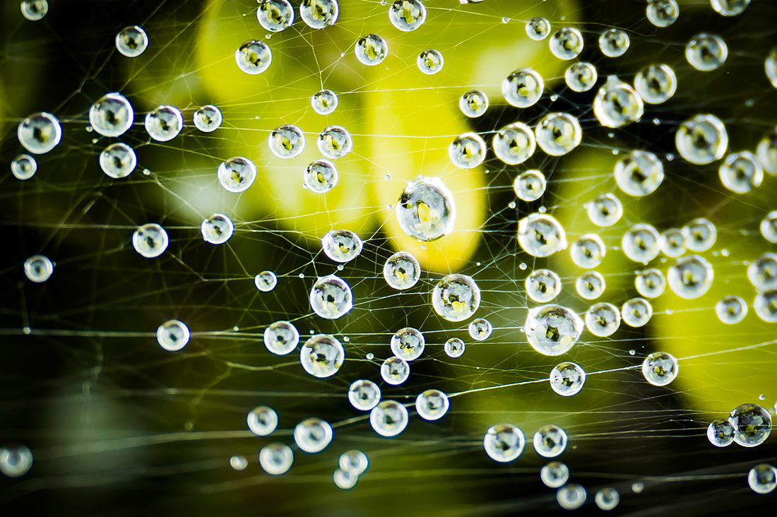 Perles de rose - Gisle et Michel Mangin