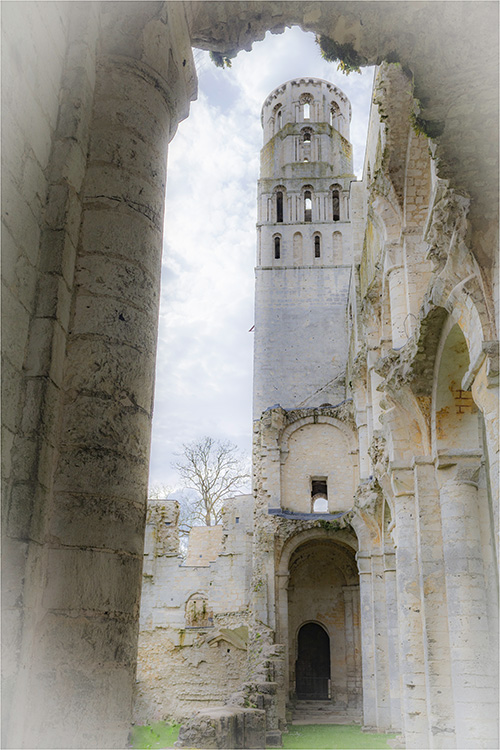 Abbaye de Jumiges - Michel Mangin