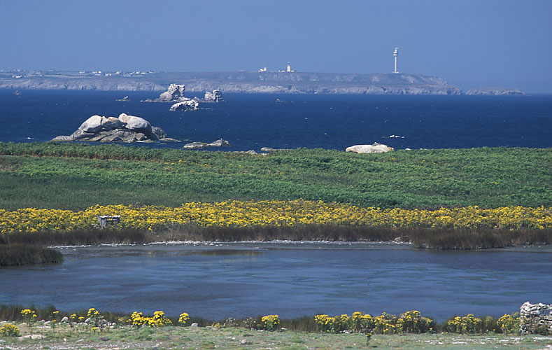 Claude PIERRE - Balanec vers Ouessant