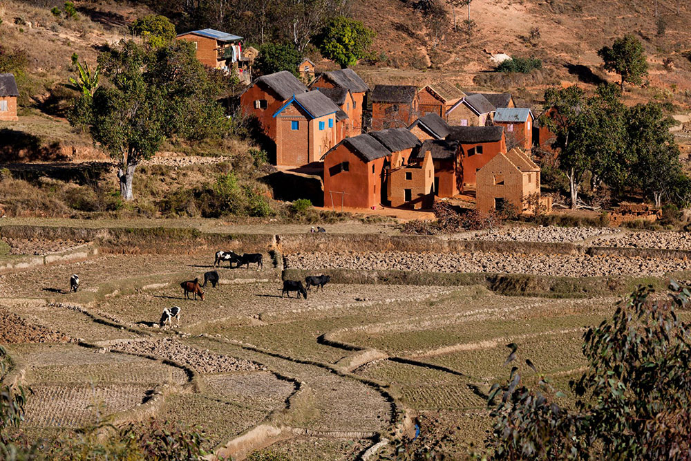 Christophe Roy - Madagascar 9
