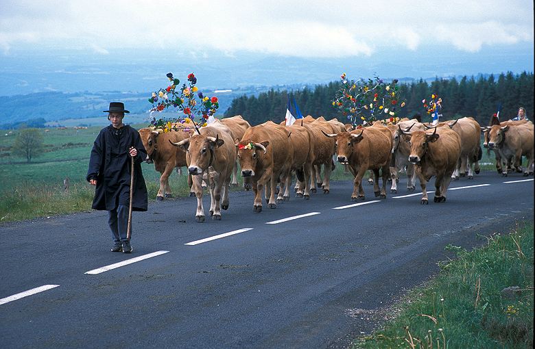 Claude Wadoux - Aubrac