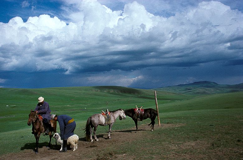 Marcelle Wadoux - Mongolie