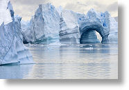 Antarctique - Icebergs [229 Ko]