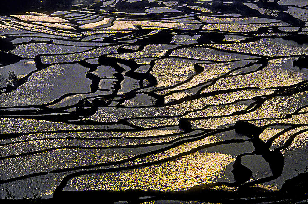 Marcelle Wadoux - Chine - Rizires du Yunnan